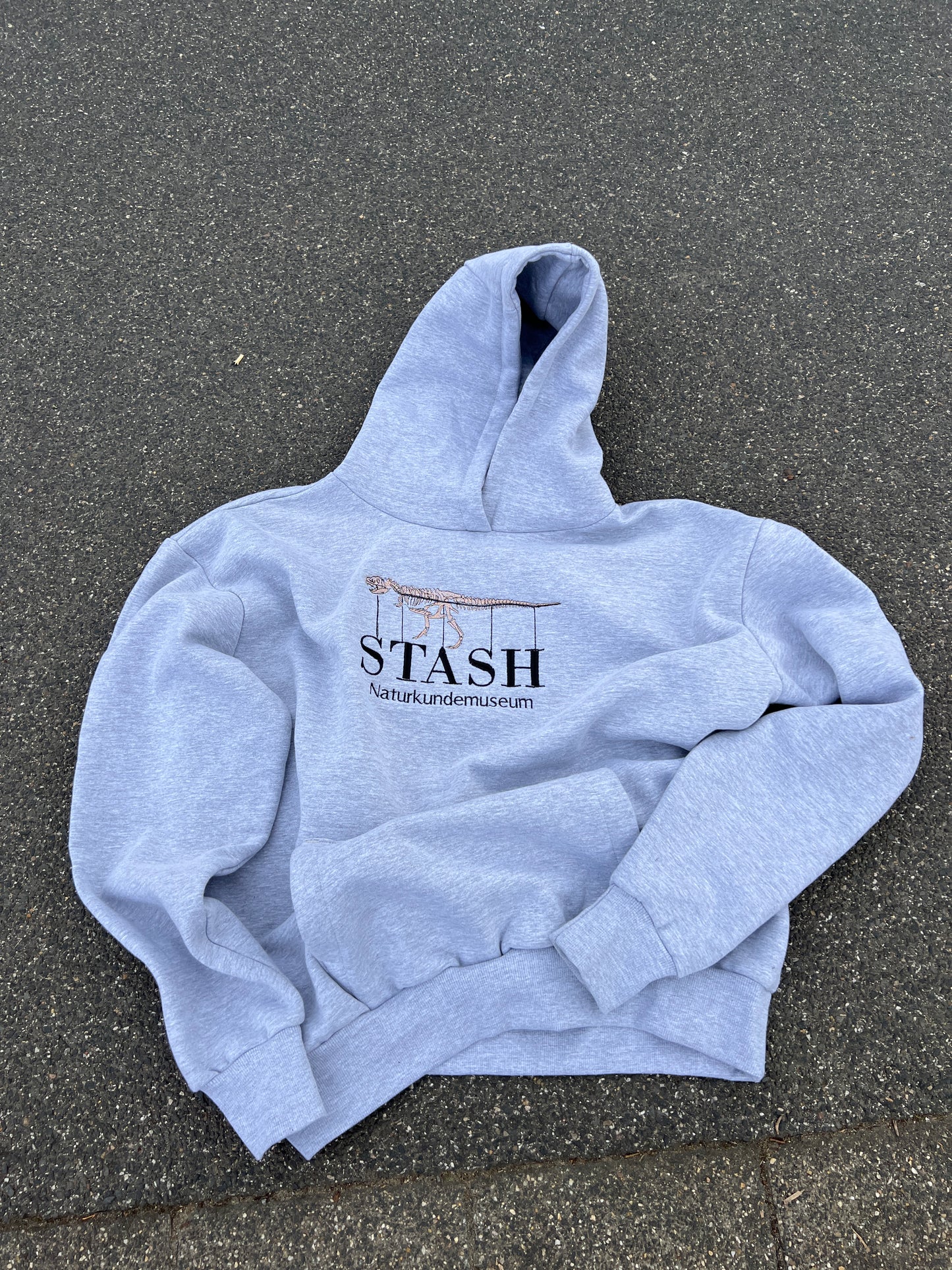 Prehistoric Stasher Hoodie