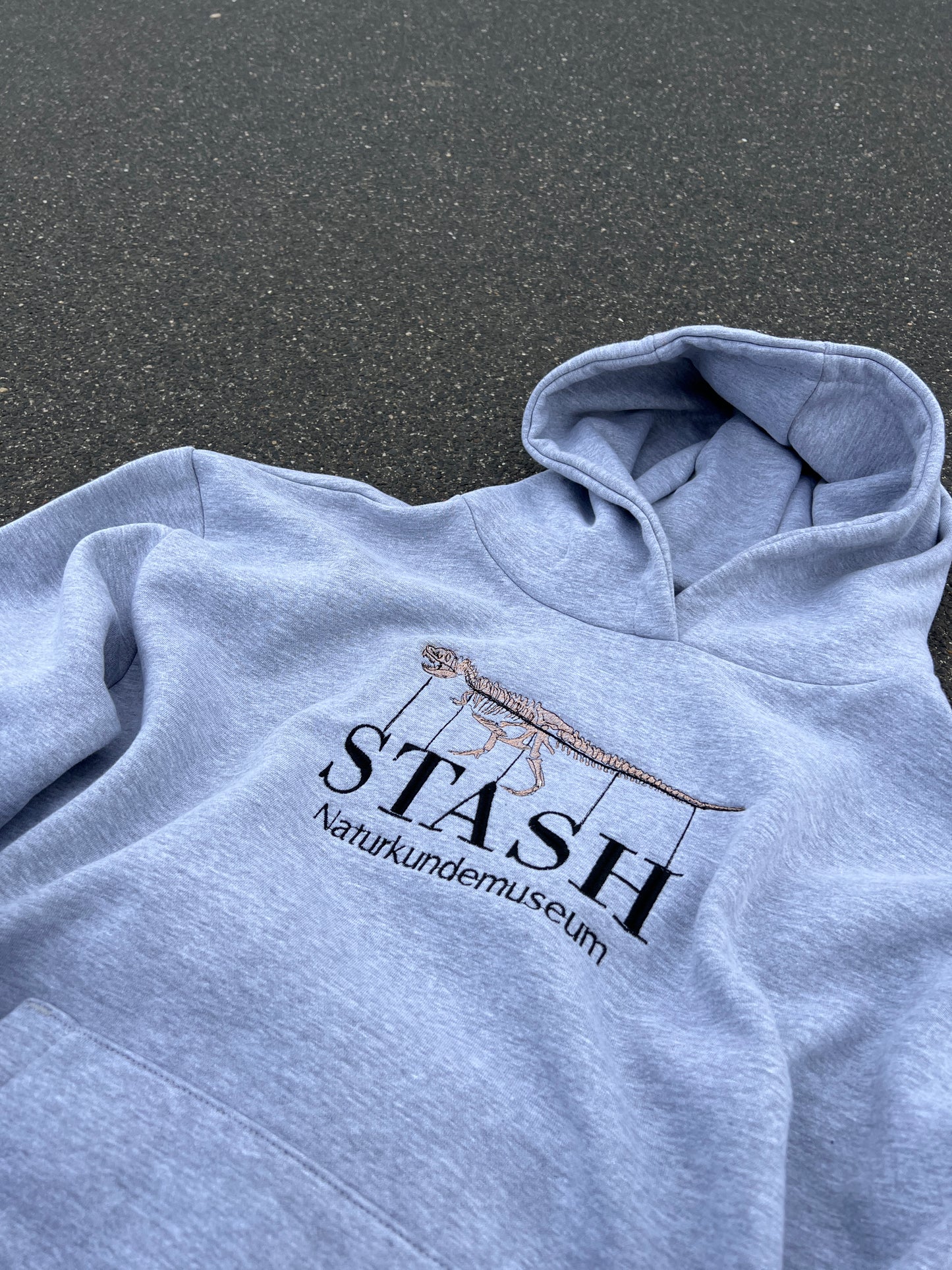 Prehistoric Stasher Hoodie