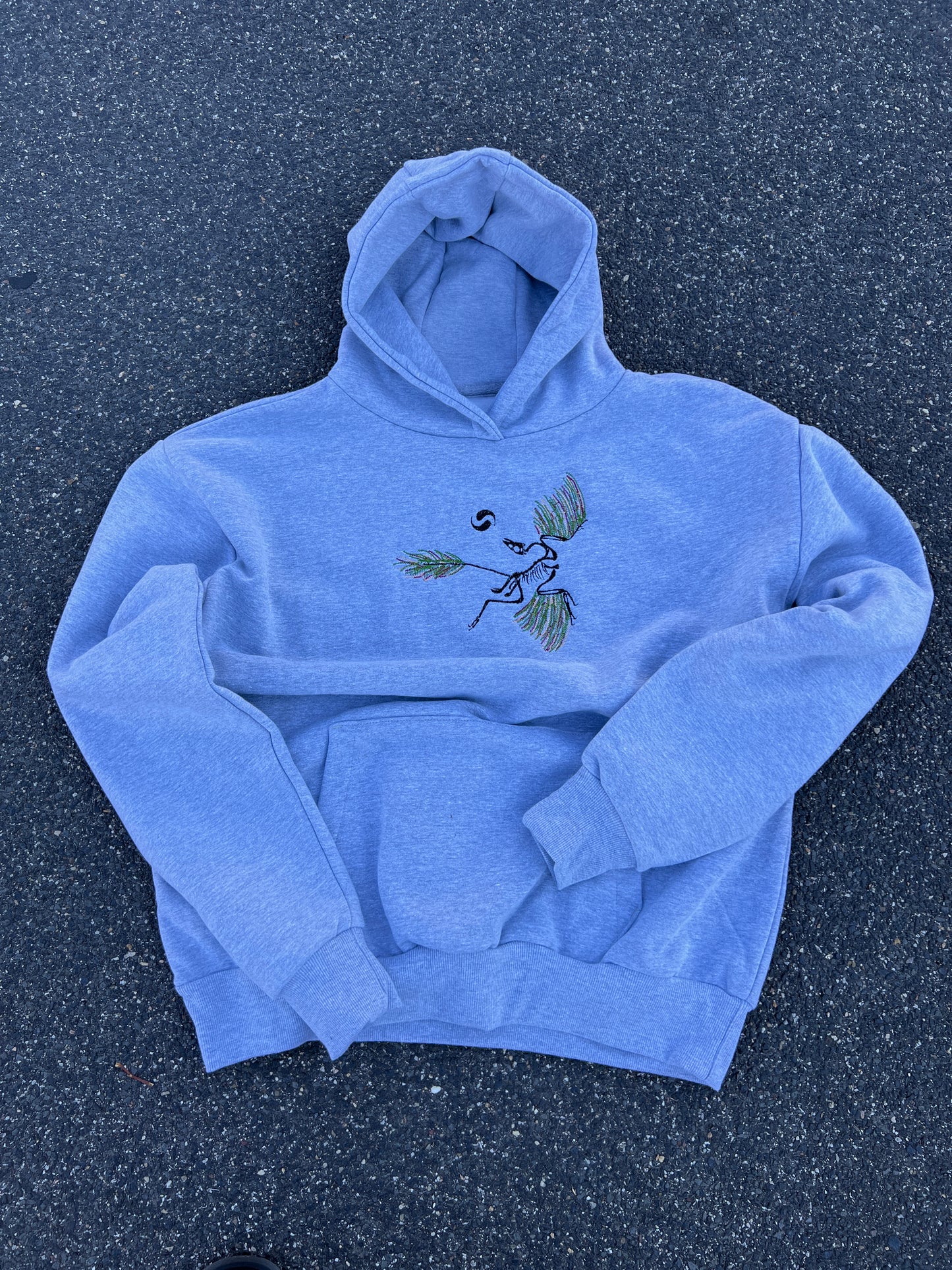Archaeopteryx Hoodie