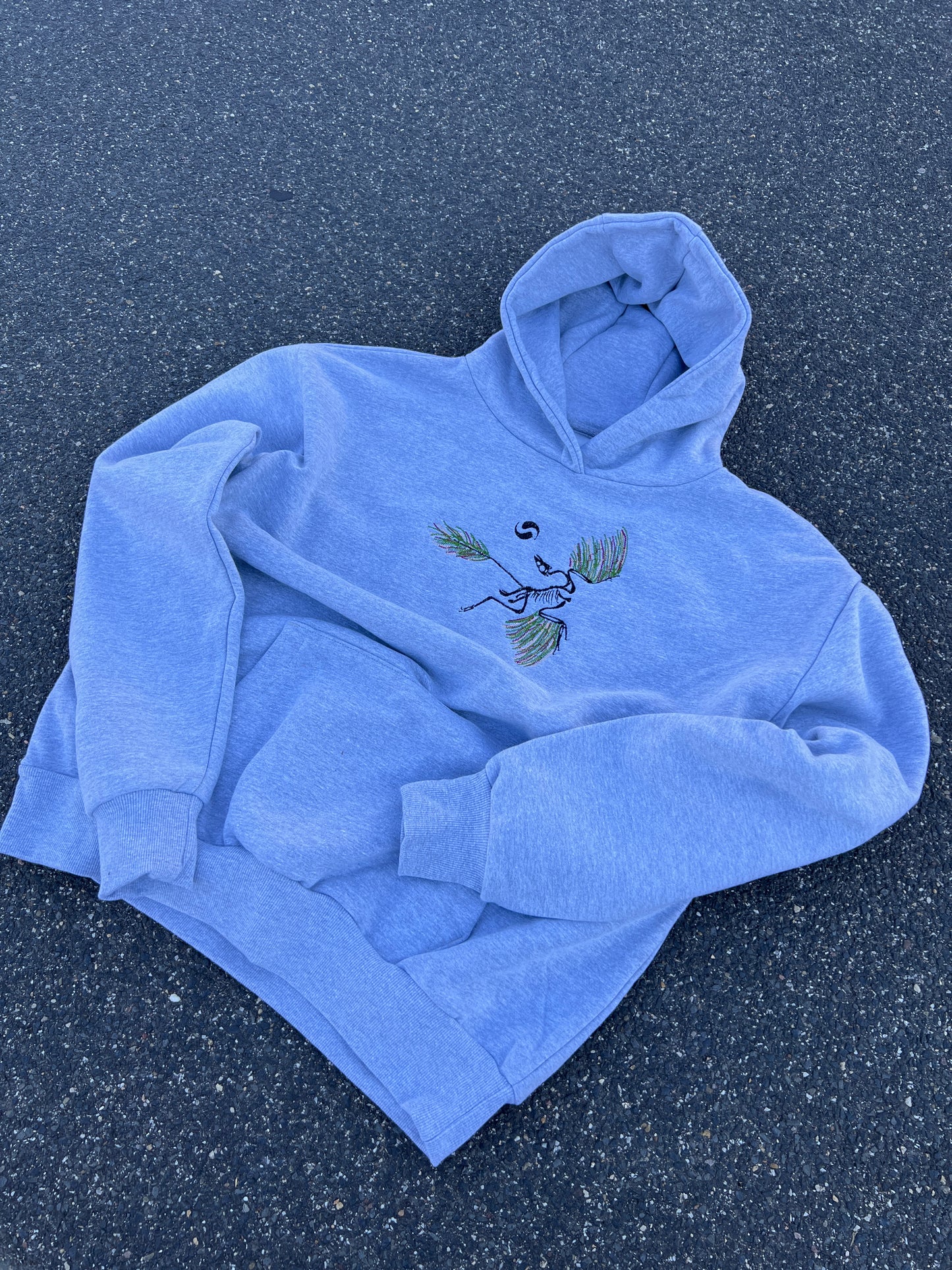 Archaeopteryx Hoodie