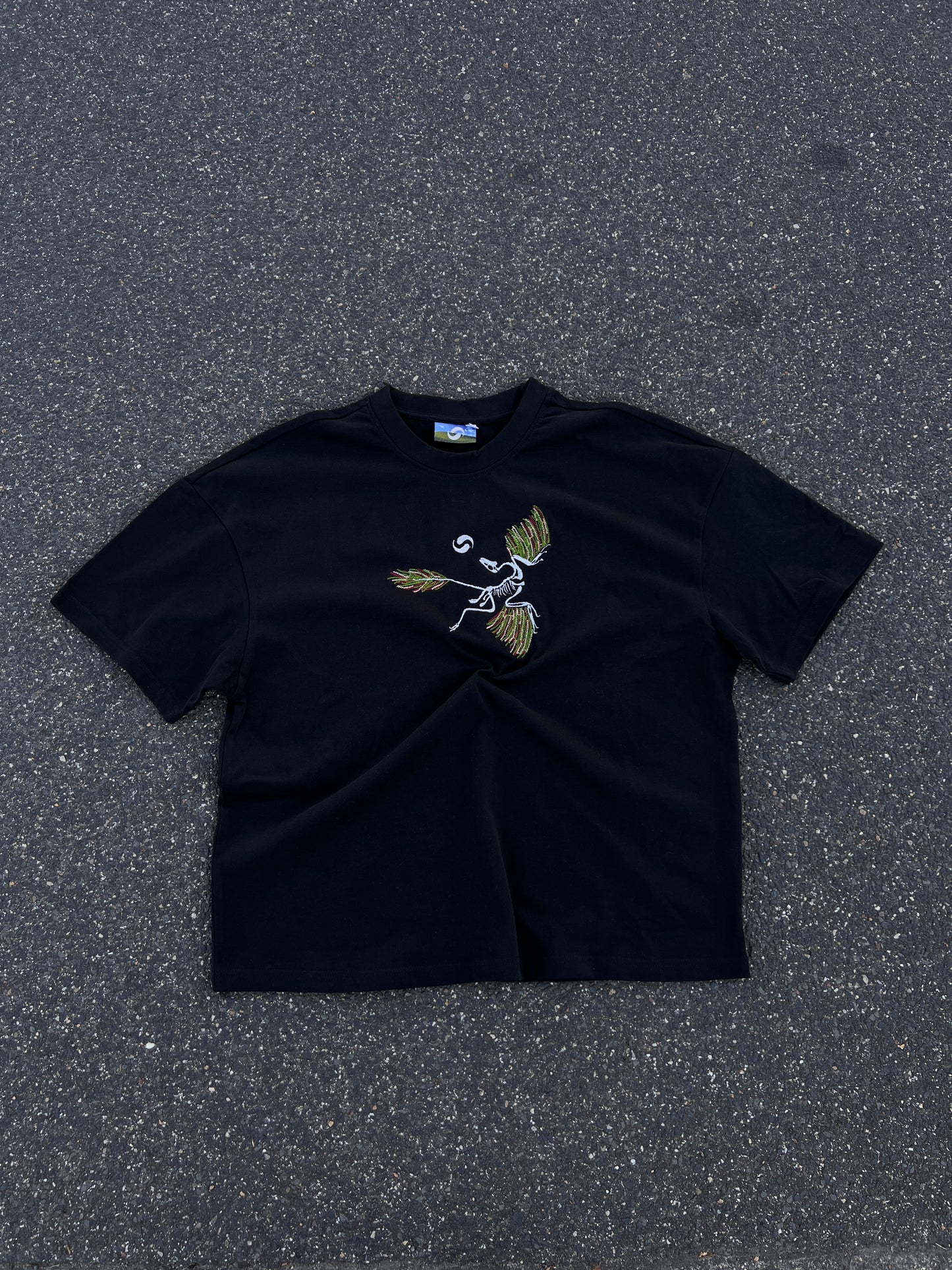 Archaeopteryx T-Shirt Schwarz